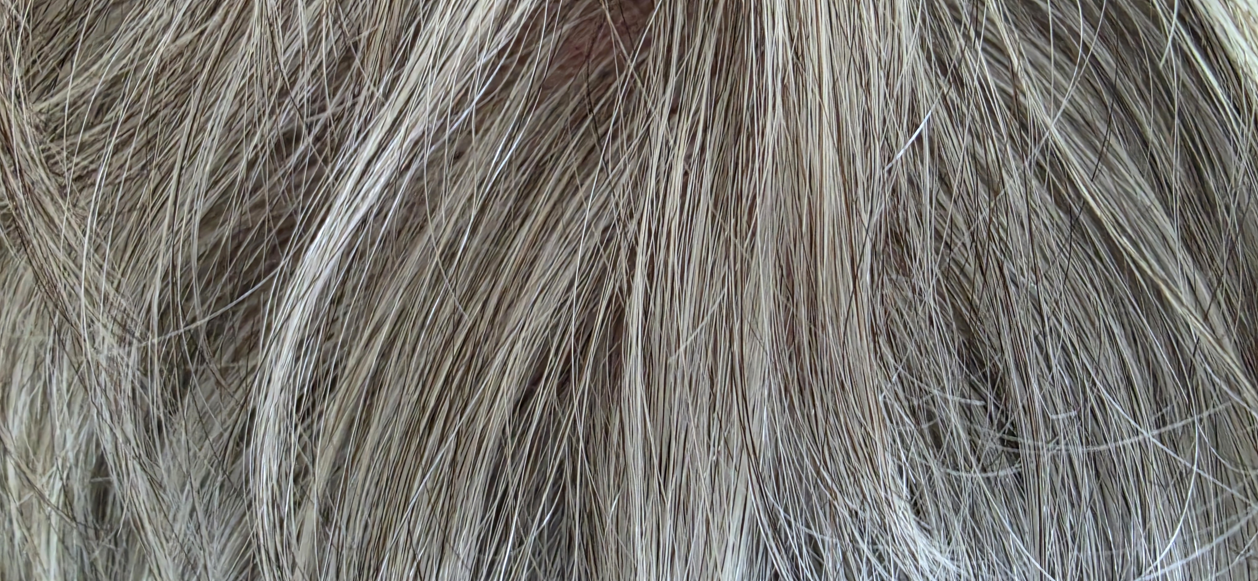The Veiled Woman
