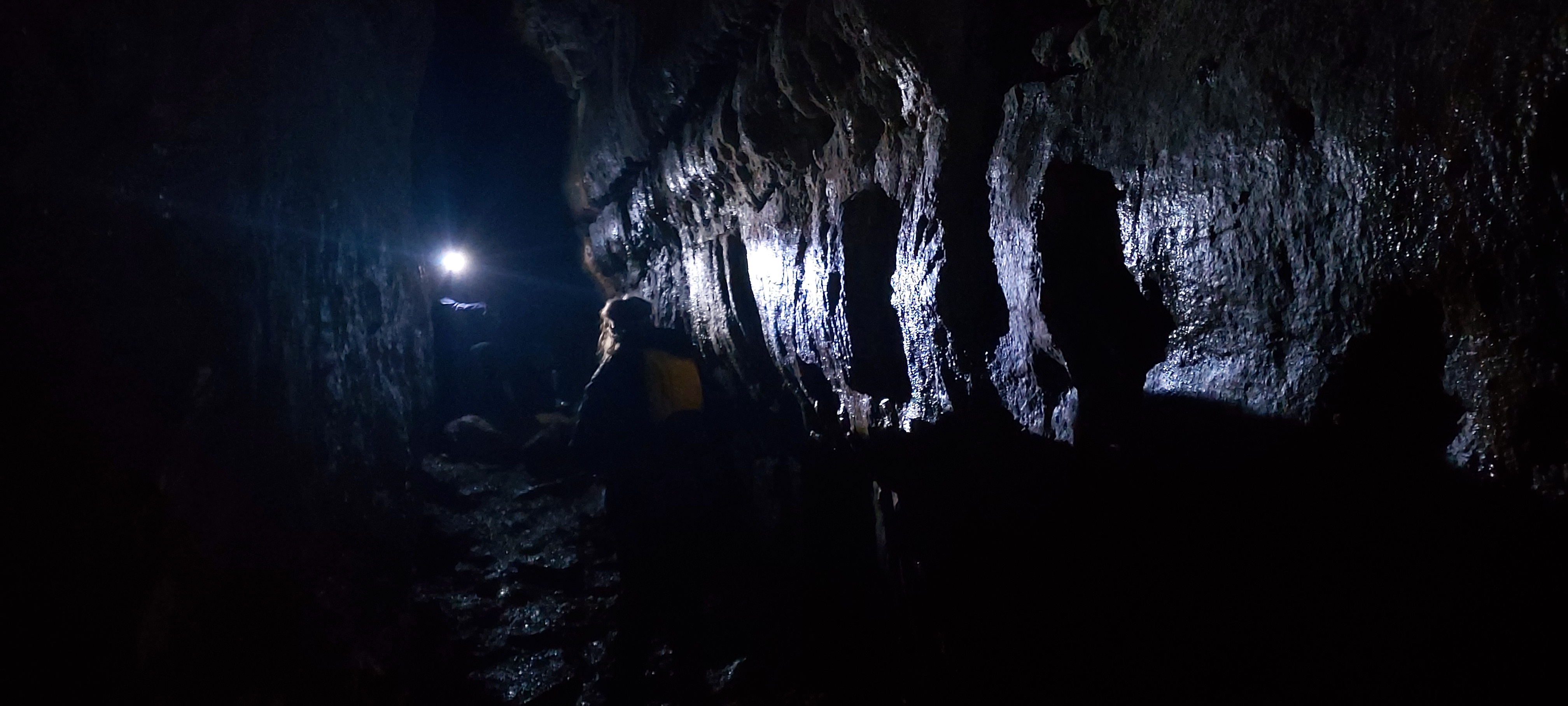 Braving the darkness in search of light